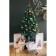 Buses for a Christmas tree 2.7 m d-7 mm "Balls" red