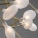 Ceiling lamp Florencia, 36xg4, Color Gold