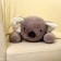 Skill of the soft toy "Coala", 50 cm