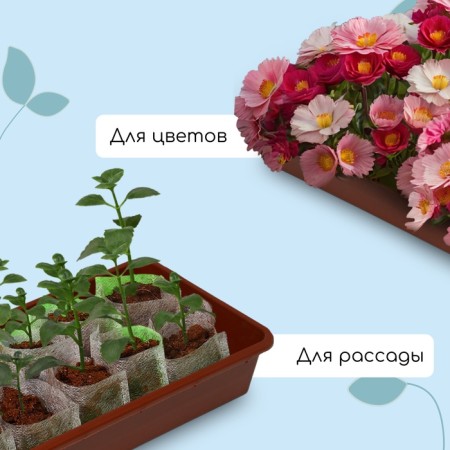 Box for seedlings, 53 × 21.5 × 7.2 cm, 7.5 l, mix-3