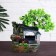 Friendship Tree fountain 16x30 cm (with backlighting, without ball)