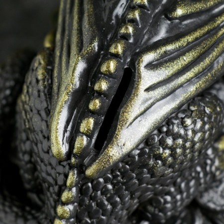 Piggy bank "Dragon on money" Black with gold, 18cm-3