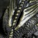 Piggy bank "Dragon on money" Black with gold, 18cm