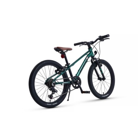 Bicycle 20 ’’ maxiscoo 7bike m200, emerald color-3