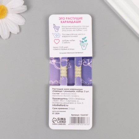 Growing gift pencils Mini "lavender + chamomile" set 2 pcs.-1