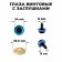 Rifle eyes with plugs, "sparkles" set of 18 pcs, size 1 pc: 2.4 cm, blue color