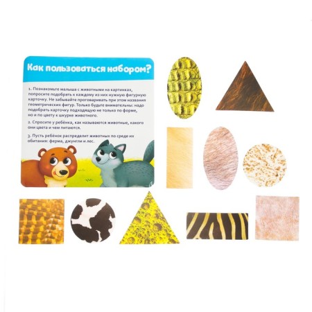 Developing set of "studying animals"-6