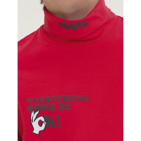 Turtleneck for the boy Pelican, height 116 cm, red color-1
