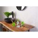 Panda soap dish, color