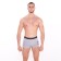 Panties men's boxers "lion", color gray melange, size 46