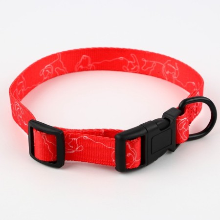 Collar One Line, fastener - fastx, 2 cm 25-40 cm-5