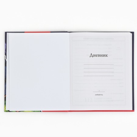School Diary 1-4 class, in a solid cover, 48 liters "September 1: dinosaur"-3