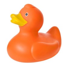 Toy for the bath 
