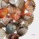 The lattice in the sink of the round share "shells", 28 × 28 cm