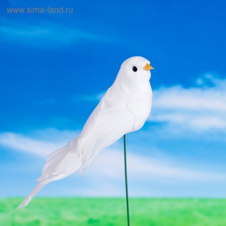 Plug "bird pigeon" 3x5cm/15cm, set 12pcs-1