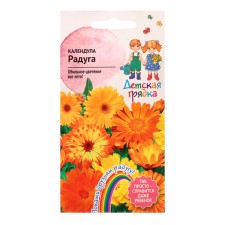 Calendula flowers 