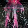 Decor for the Aquarium "Medusa" Silicone, with a neon effect, 10 x 10 x 20.5 cm, pink