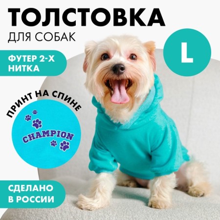 CHAMPION Sweatshirt for Dogs (Futter), Size L (DS 30, Osh 38-40, OG 52-56), Blue-1