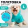CHAMPION Sweatshirt for Dogs (Futter), Size L (DS 30, Osh 38-40, OG 52-56), Blue