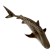 Figure "Tiger shark"
