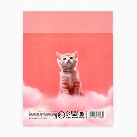 School diary for grade 1-11, in an integrated cover, 40 l. "Cat on the cloud"-4