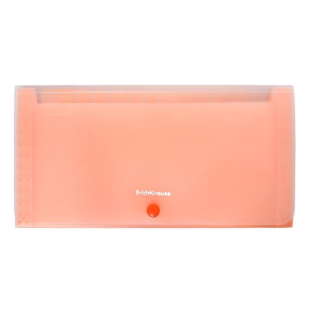 A4 cartridge folder on the 13 departments button, Erichkrause, Matt Neon, transparent plastic, mix-2
