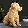Garden figure "Labrador puppy" 17x12x20cm