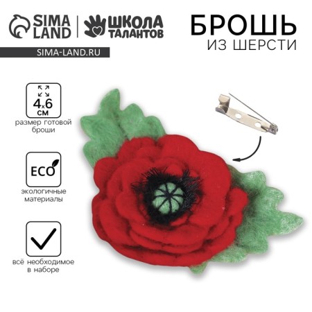 A brooch made of wool "Mack". Set for creativity