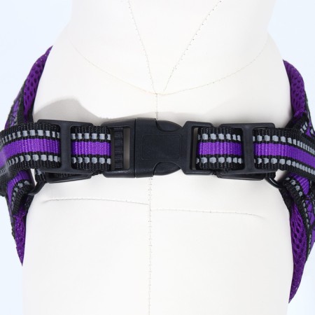 The ammunition set is soft, reflective, leash 120 x 2 cm, Osh 25-72 cm, purple-6