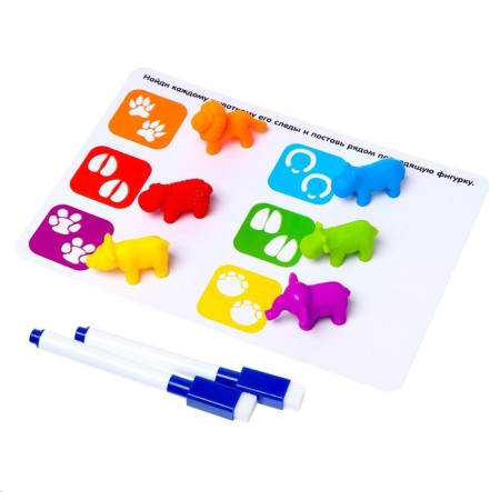Developing set "Smart animals", sorter, tasks on cards, marker-2