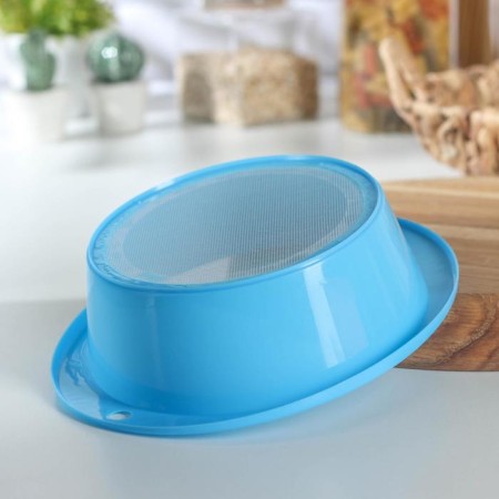 Plastic sieve, 23.5 × 21 × 7 cm, color mix-1