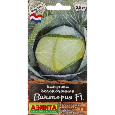 White cabbage seeds "Victoria", f1, c/p, 0.1 g