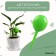 Auto -polywave for indoor plants, 380 ml, green, 2 pcs., Plastic, height 28 cm, Greengo