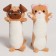 Soft toy in the showbox "Kotopes"