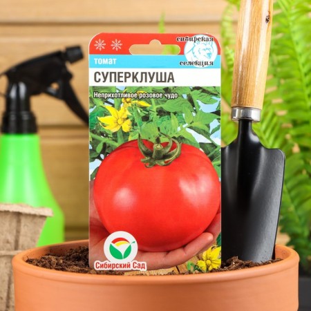 Seeds Tomat "Superplush", Middle End, 20 pcs