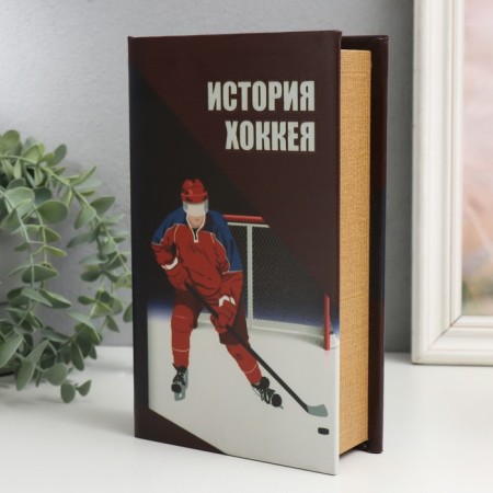 Safe Brush tree to the leatherette "History of hockey" 21x13x5 cm-1