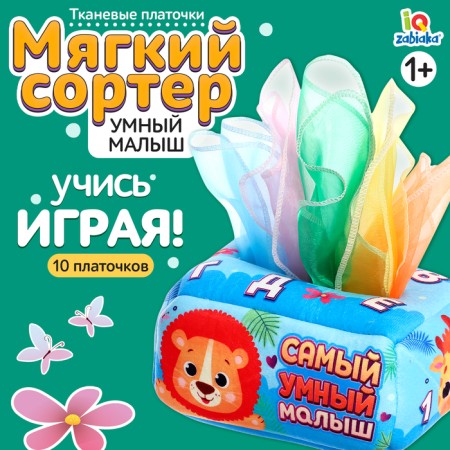 Sorter "Most Smart Baby"