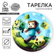 Disposable paper plate 