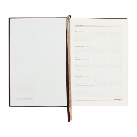 Dated 2025 diary, A5, 176 sheets of Escalada, solid cover of artificial leather, 3D design, foil, liescam embossing, cream block 70 g/m2, brown-6