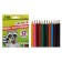 Pencils 12 flowers Calligrata, mini in a cardboard box