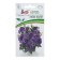 Eustoma flowers dwarf lavender-blue "Lady Ashley F1", 5 pcs