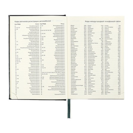 Dated diary 2024 A5 176 sheets, Devente.symbol, firm artificial leather cover, stamping foil, lies, cream block 70 g/m2, green-11