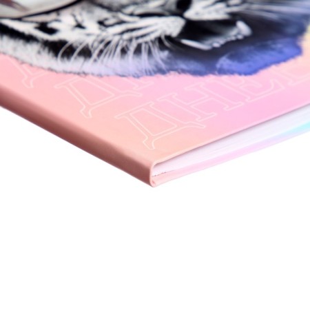 Diary for grades 5-11, "Tiger with glasses", integral (flexible) cover, matte lamination, selective varnish, 48 sheets-2
