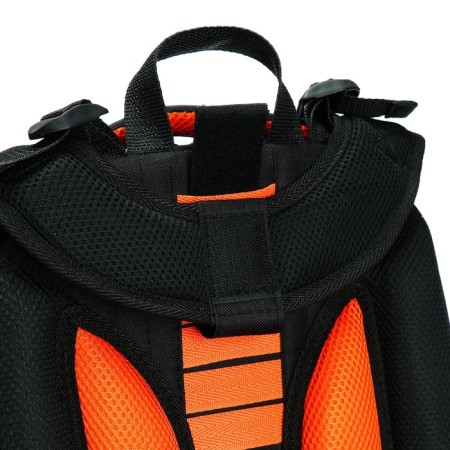 School backpack 38 x 30 x 16 cm, ergonomic back, Stavia "BiSport", gray-8
