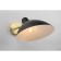 Wall lamp (sconces) Klarka E27 60W