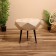 Coffee table 51x51x50 cm, mane