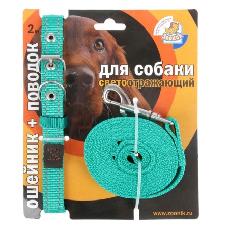 Kapon zoonik set, collar 33-47 x 2 cm and leash 2 m, green