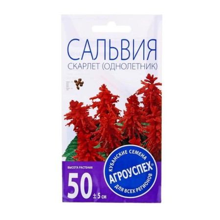 Flower seeds Salvia Scarlet, o, 0.1 g