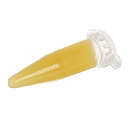 Effect+™ cytokinin paste, 1.5 ml-2