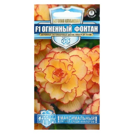 Fiery Fiery Five Flower Seeds, F1, Russian Bogatyr, Granules, 4 pcs